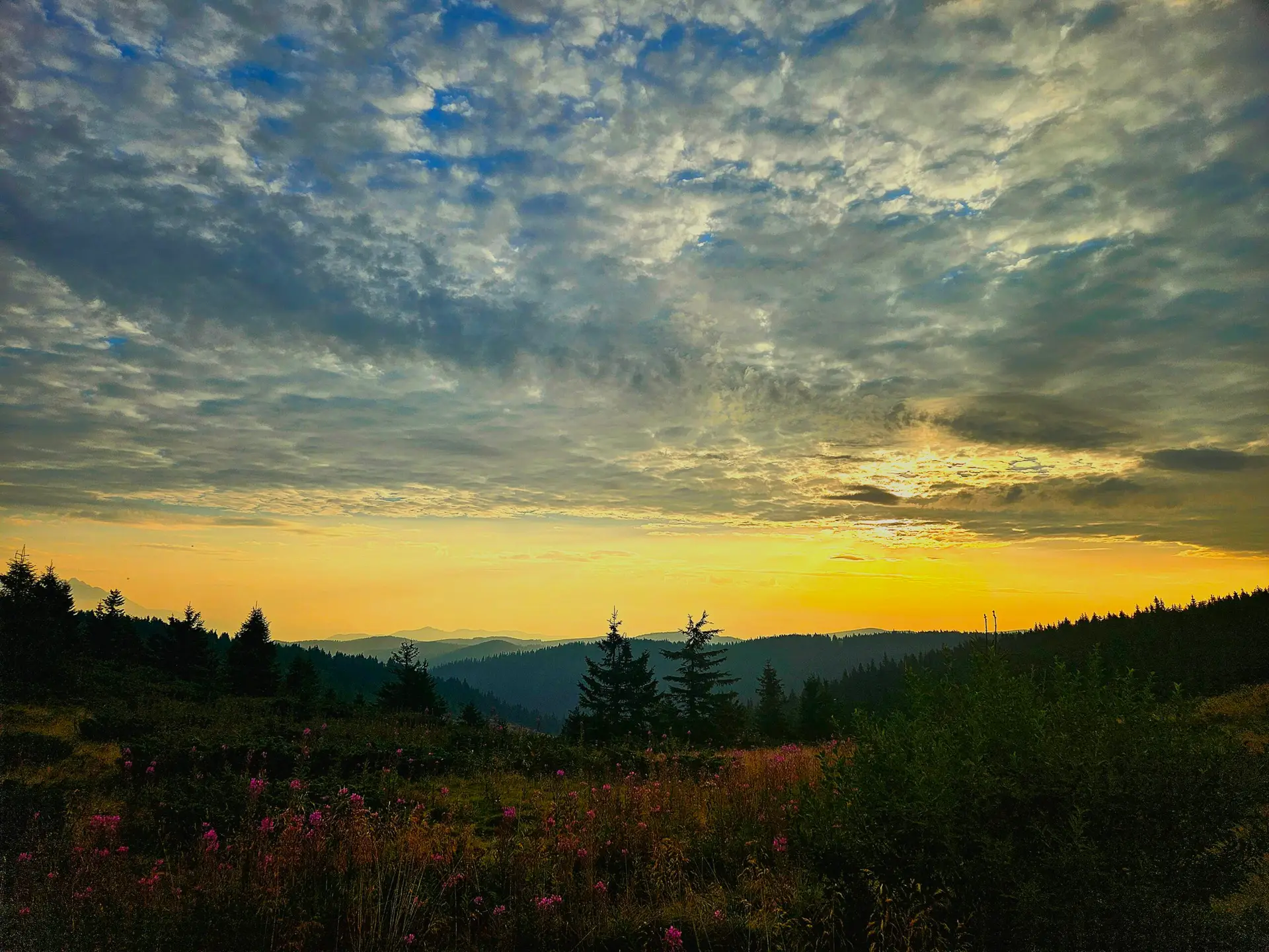 20240817_062326